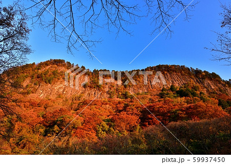 屏風岩公苑の紅葉 59937450