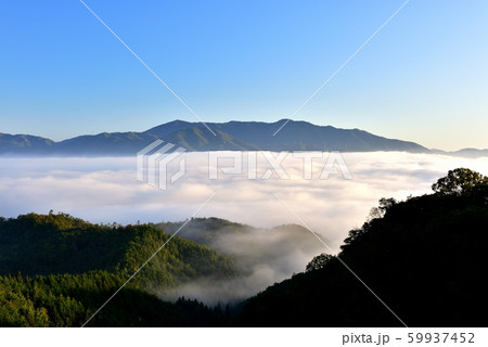 亀岡盆地の雲海 亀岡盆地の雲海 59937452