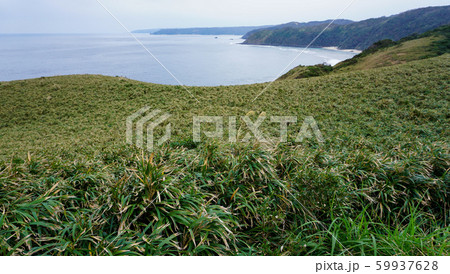 宮古崎から島影を望む／奄美大島 59937628