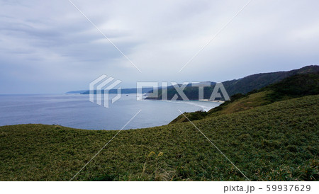 宮古崎から広がる海岸線/奄美大島 宮古崎から広がる海岸線/奄美大島 59937629