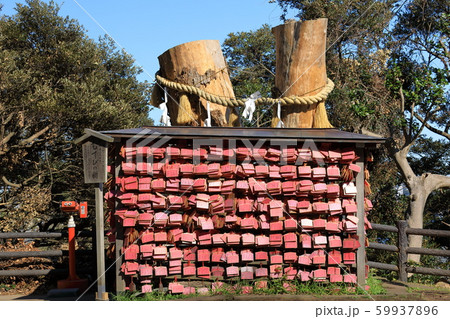 湘南 江の島 江の島神社 湘南 江の島 江の島神社 59937896