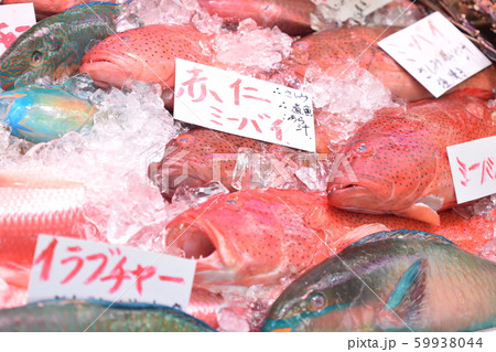 沖縄　魚市場 59938044