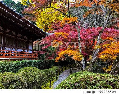 Vibrant autumn colors and traditional architecture in Kyoto, Japan. Vibrant autumn colors and traditional architecture in Kyoto, Japan. 59938504