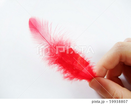 赤い羽根 59938807