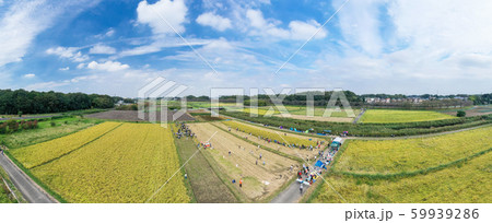 空撮　見沼田んぼ　稲刈りイベントの風景 59939286