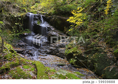 床尾（とて）の三滝　一の滝（兵庫県朝来市和田山町） 59939888