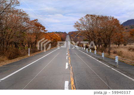 秋の榛名山 メロディーラインと沼の原 2019.11 c 秋の榛名山 メロディーラインと沼の原 2019.11 c 59940337