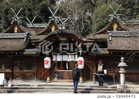 春の平野神社にて 春の平野神社にて 59940473