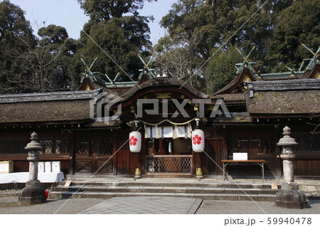 春の平野神社にて 59940478