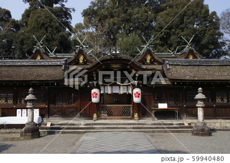 春の平野神社にて 59940480