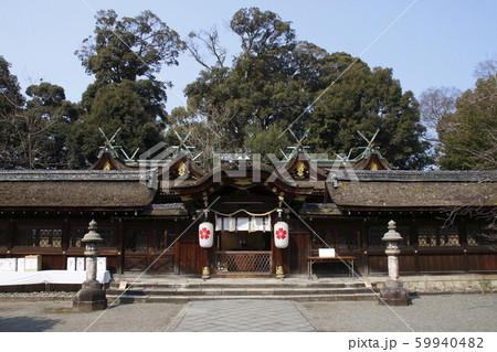 春の平野神社にて 春の平野神社にて 59940482