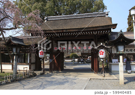 春の平野神社にて 春の平野神社にて 59940485