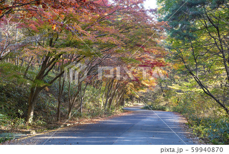 自然 風景 景色 59940870
