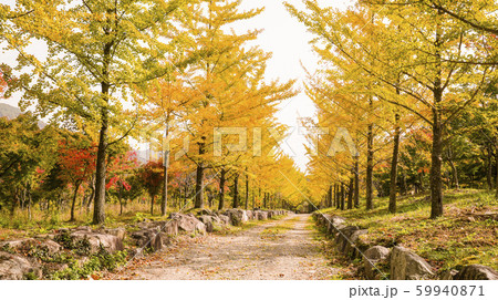 自然 風景 景色 59940871