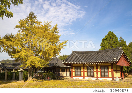 植物 木 保護することができ 59940873