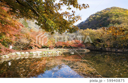 自然 風景 景色 59940875