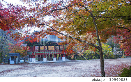 自然 風景 景色 59940883