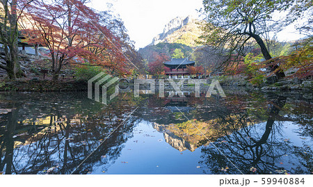 自然 風景 景色 59940884