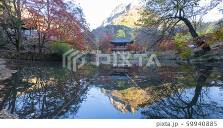 自然 風景 景色 59940885