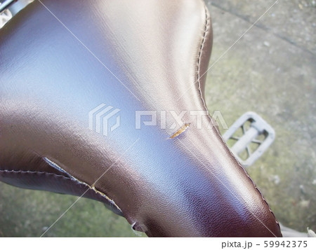 自転車のサドル 59942375