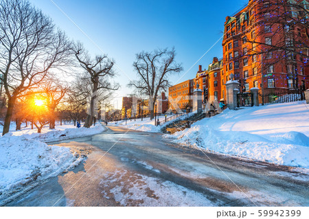 Boston public garden at winter 59942399