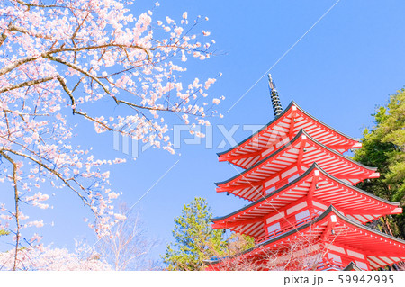 新倉山浅間公園の風景 (春):忠霊塔 新倉山浅間公園の風景 (春):忠霊塔 59942995