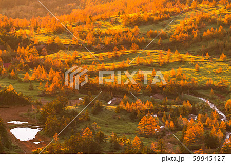 《群馬県》渋峠のご来光・秋の志賀高原 59945427