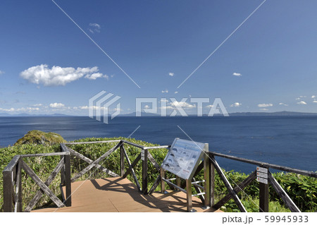クジラの見える丘公園 展望デッキ クジラの見える丘公園 展望デッキ 59945933