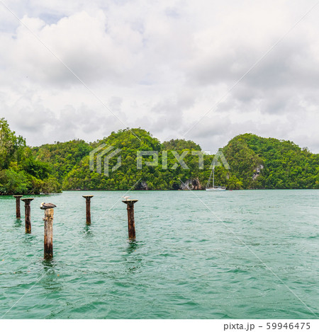 pelicans nest and luxury boat anchored pelicans nest and luxury boat anchored 59946475