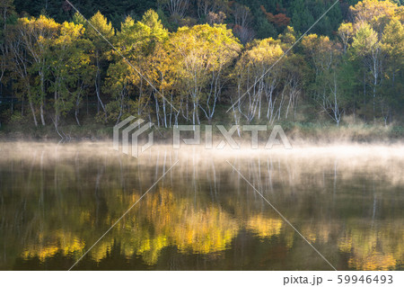《長野県》紅葉の木戸池・秋の志賀高原 59946493
