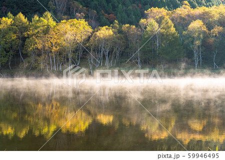《長野県》紅葉の木戸池・秋の志賀高原 59946495
