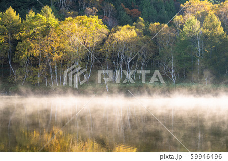 《長野県》紅葉の木戸池・秋の志賀高原 59946496