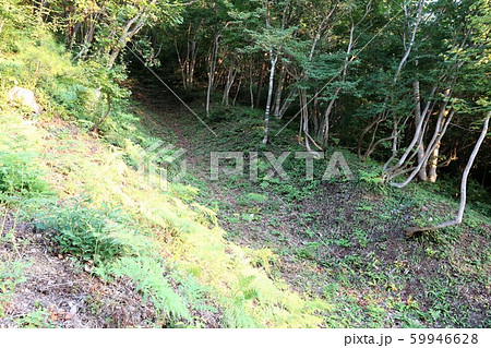 向羽黒山城 向羽黒山城 59946628