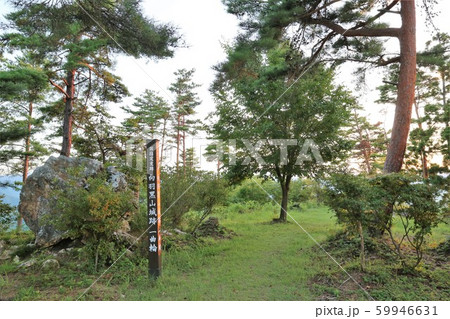 向羽黒山城 59946631