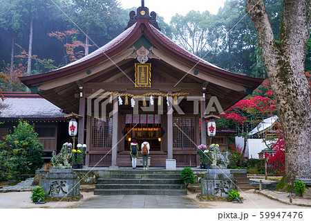竈門神社　紅葉 59947476