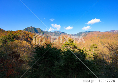 甲武信主脈山塊 59947770