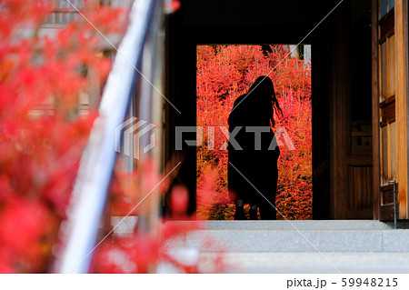 呑山観音 紅葉 呑山観音 紅葉 59948215