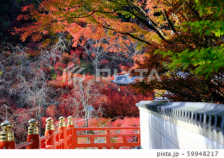呑山観音　紅葉 59948217