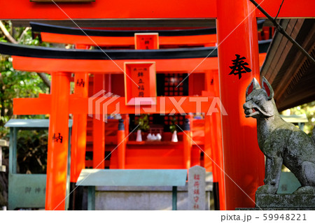 呑山観音　紅葉 59948221