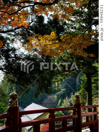 呑山観音　紅葉 59948231