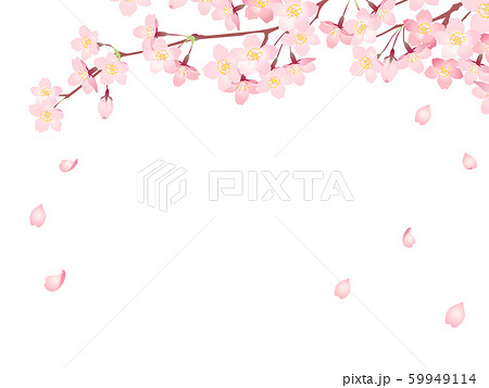 満開の桜のイラストフレーム03のイラスト素材