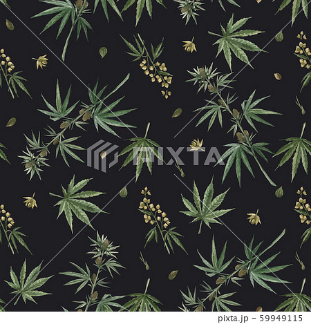 Beautiful Vector Watercolor Medical Marijuana のイラスト素材 Beautiful Vector Watercolor Medical Marijuana のイラスト素材