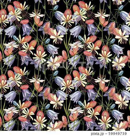 Bladder campion and Bells flowers. Watercolor set of drawing cornflowers, floral elements, hand drawn botanical illustration. Seamless patterns. 59949739