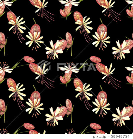 Bladder campion flowers. Watercolor set of drawing cornflowers, floral elements, hand drawn botanical illustration. Seamless patterns. Bladder campion flowers. Watercolor set of drawing cornflowers, floral elements, hand drawn botanical illustration. Seamless patterns. 59949754