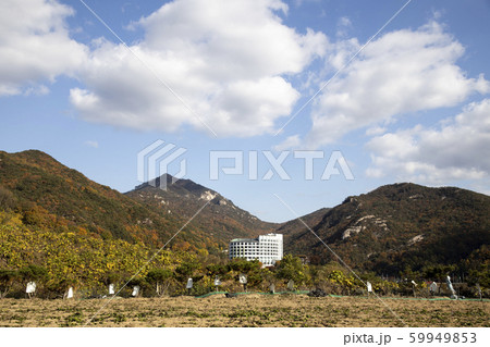 風景 背景 山 59949853