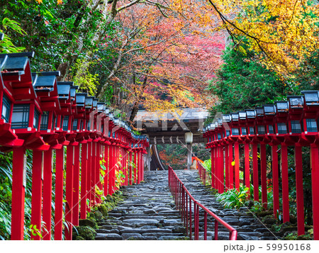 秋の京都　貴船神社 59950168