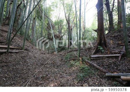 小机城 小机城 59950378