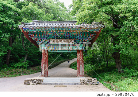 木 伝統 韓国 59950476