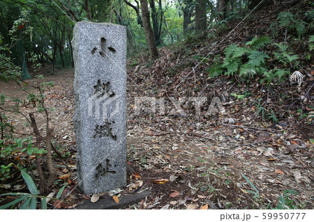 小机城 小机城 59950777