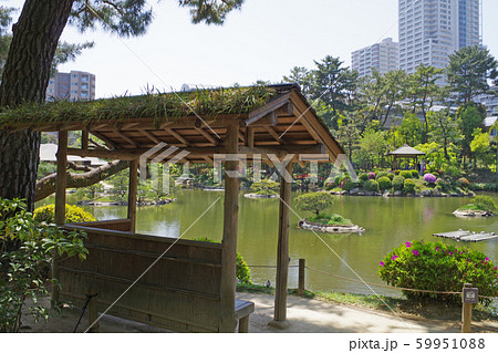 縮景園の東屋と池の景色 縮景園の東屋と池の景色 59951088